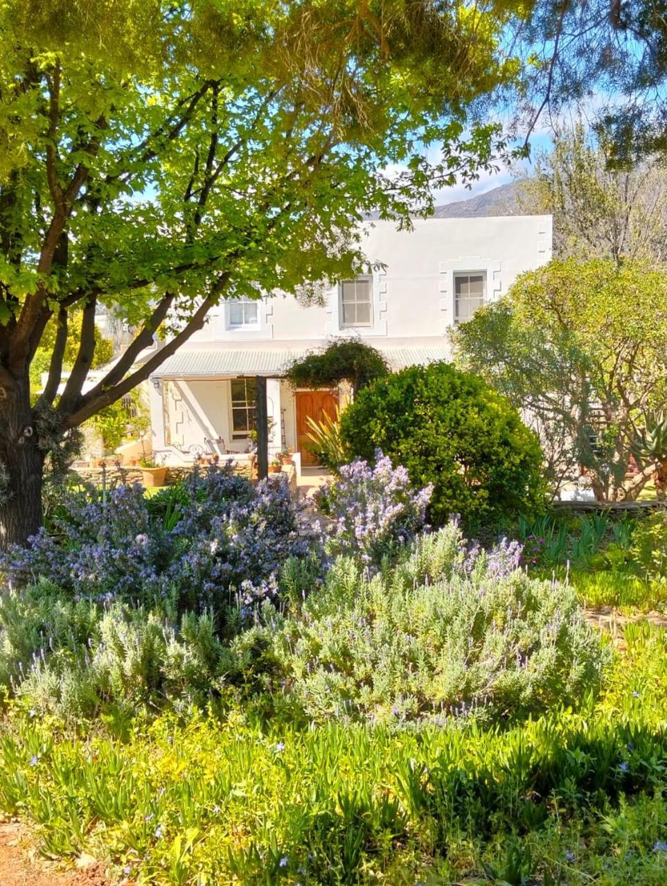 The Whitehouse Bed & Breakfast Barrydale Luaran gambar